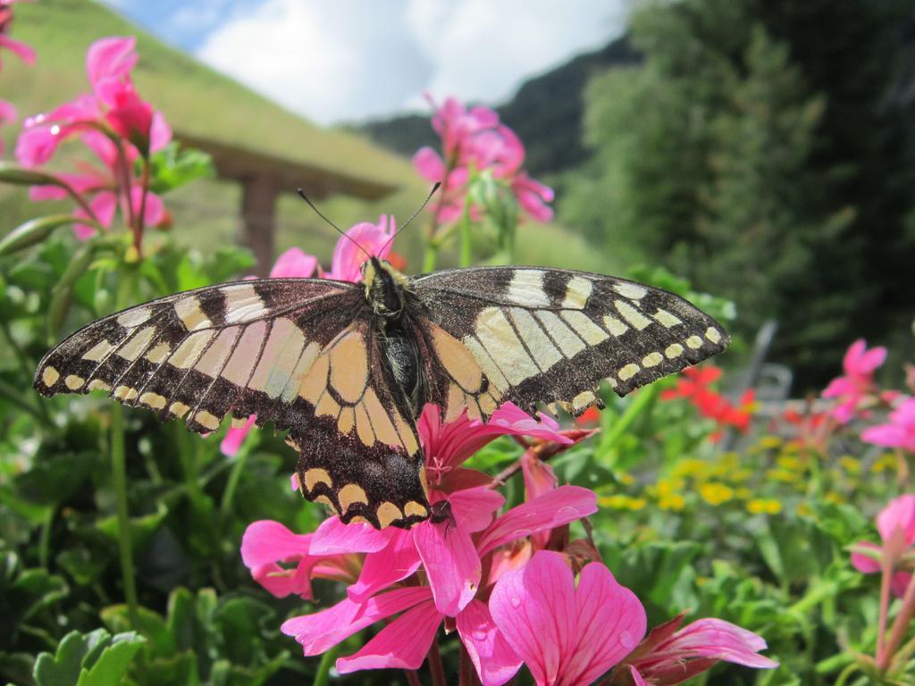Haus Alpengluehn Otel Längenfeld Dış mekan fotoğraf